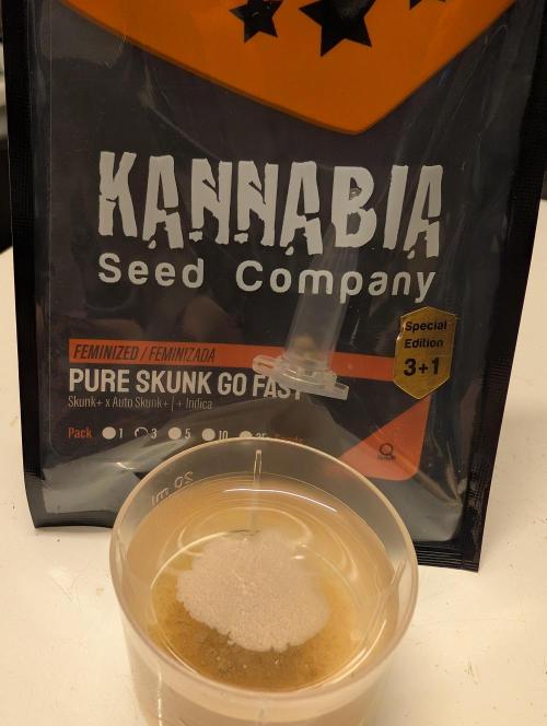 Pure Skunk Go Fast. Week 0