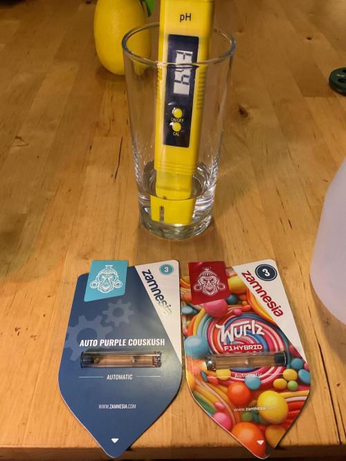 MyFirstAttempt. Week 0