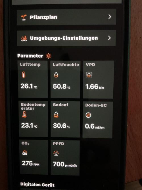 MyFirstAttempt. Week 1 - Values