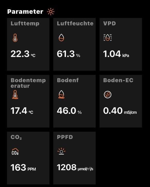 MyFirstAttempt. Week 6 - Some values