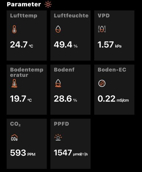MyFirstAttempt. Week 6 - Some values 