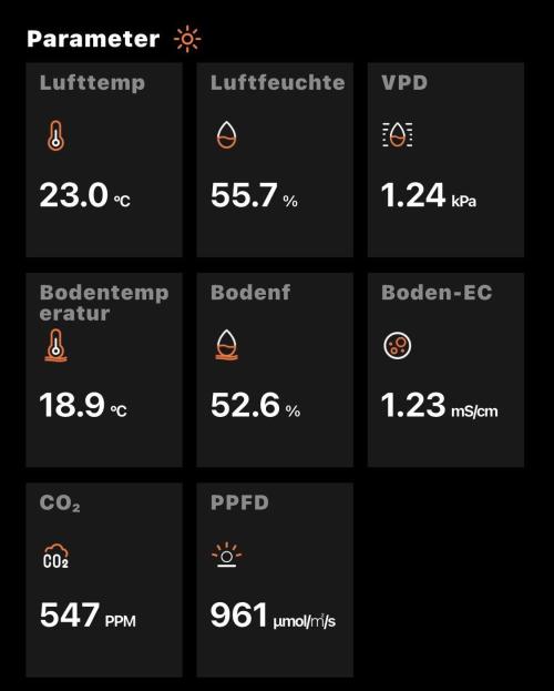 MyFirstAttempt. Week 10 - Some values 