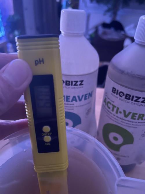 ZammiSp. Week 2 - some nutrients