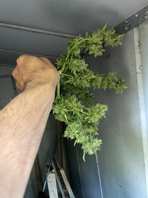 Northern lights. Week 10 - Nice