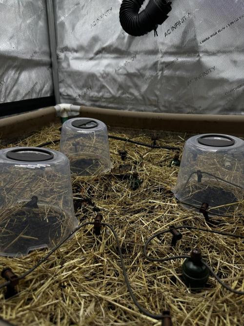 Vol. 1 - TerpFokus. Week 0 - Setup