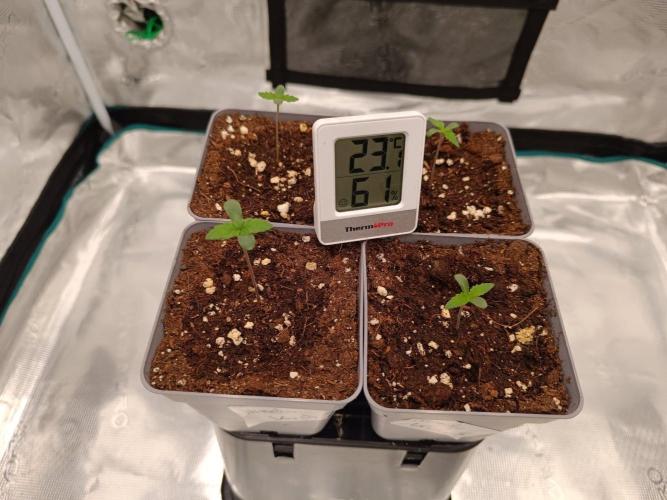 Hindu Kush. Week 1