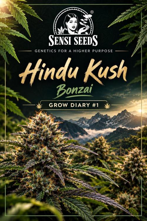 Hindu Kush. Week 0