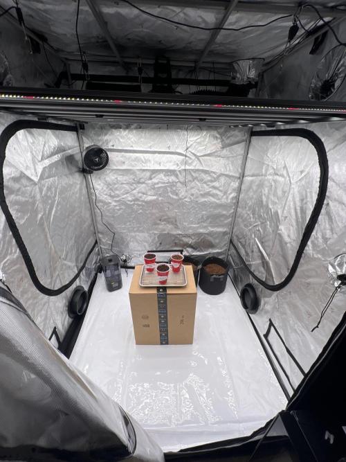 Evo 8 test run. Week 0 - Finally got all the accessories I think I’ll need for the run.