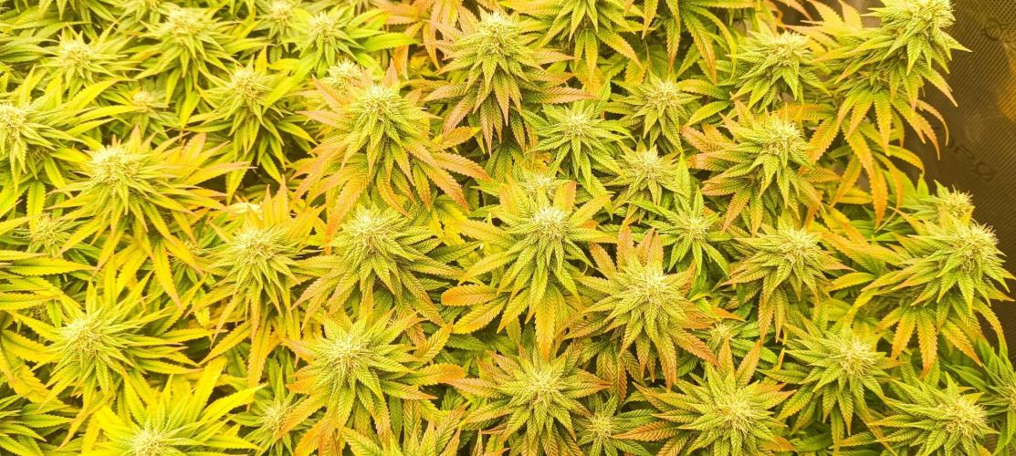 Tyring arround.. Week 12