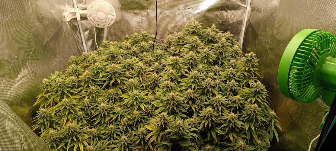 Tyring arround.. Week 13