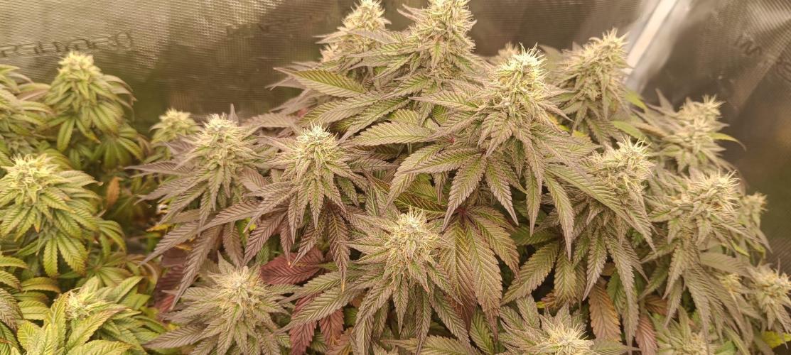 Tyring arround.. Week 13 - I love this pic. =)