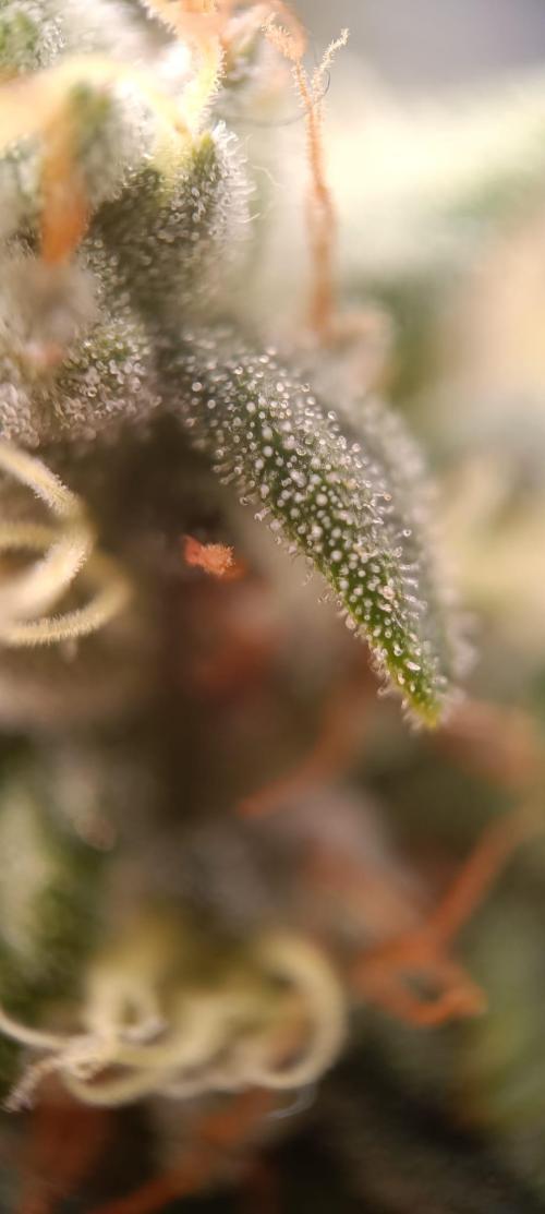 Tyring arround.. Week 14