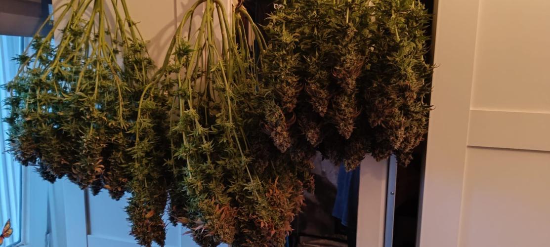 Tyring arround.. Week 16