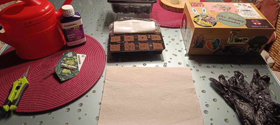 The Ladies’ First Cup. Week 0 - Preparation