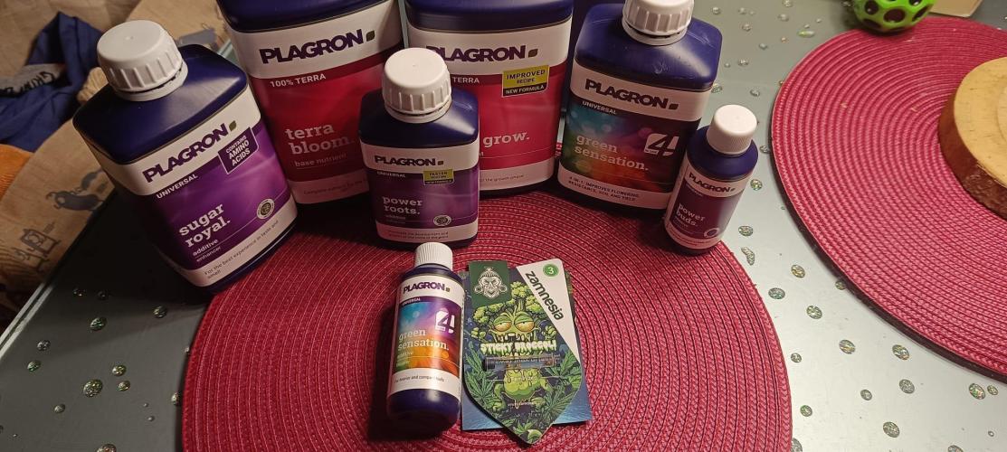 The Ladies’ First Cup. Week 0 - Advertising. Yummy!