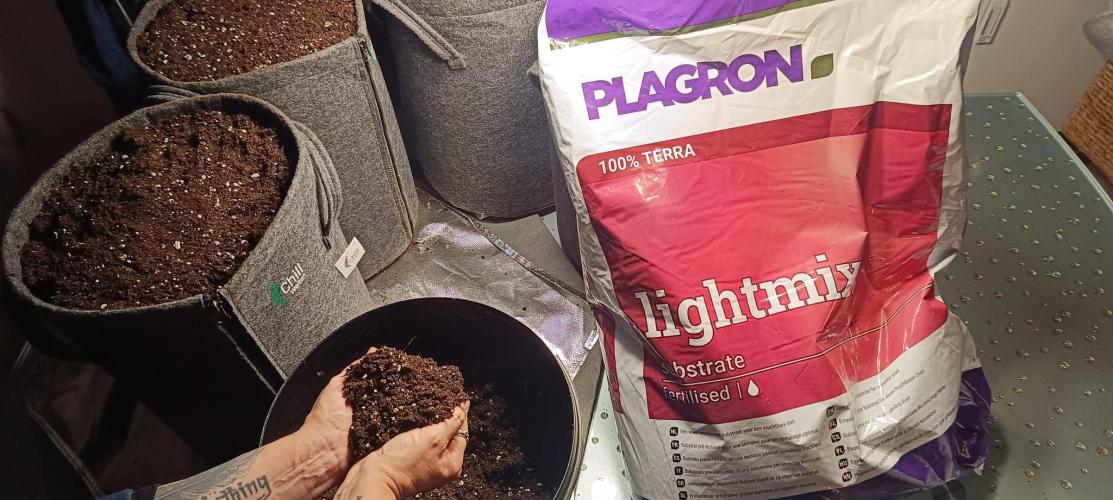 The Ladies’ First Cup. Week 1