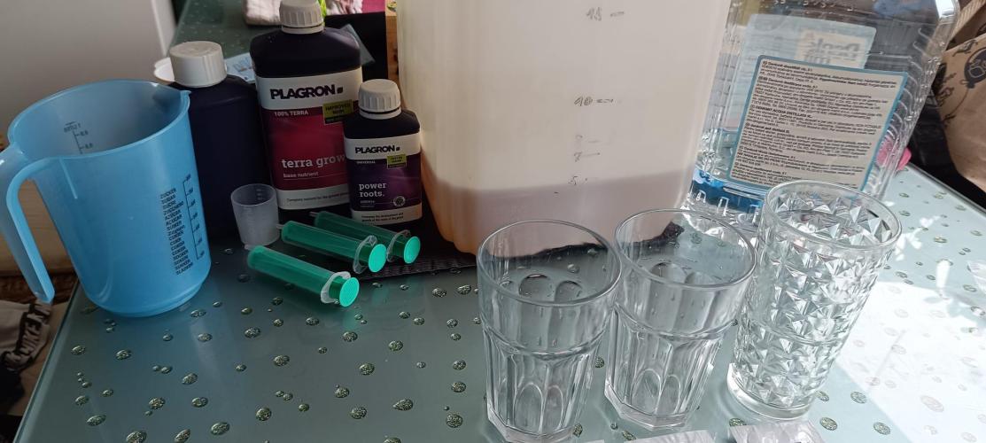 The Ladies’ First Cup. Week 3