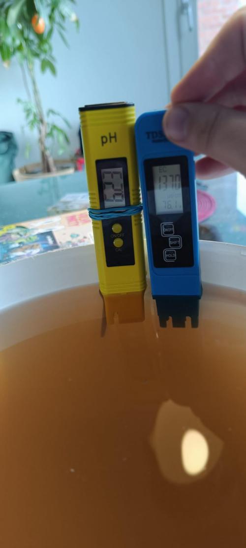 The Ladies’ First Cup. Week 5