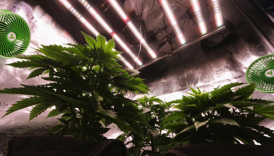 The Ladies’ First Cup. Week 6