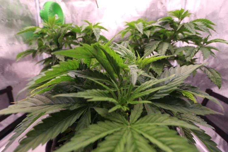 The Ladies’ First Cup. Week 6