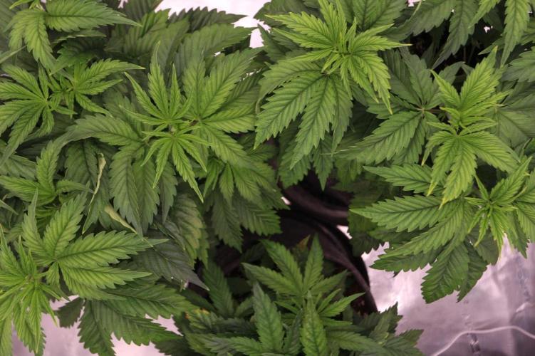 The Ladies’ First Cup. Week 6