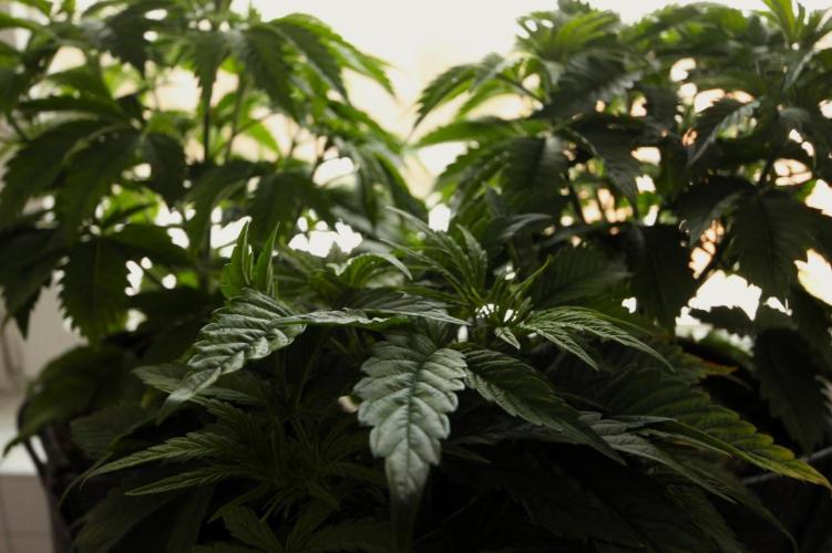 The Ladies’ First Cup. Week 6