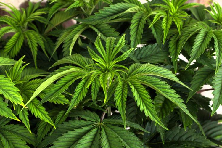 The Ladies’ First Cup. Week 7