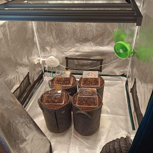 The Keepers Log. Week 1