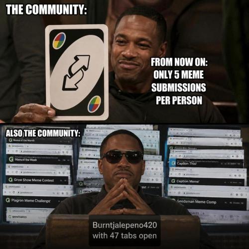 Memes. Week 4