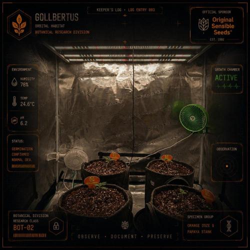 The Keepers Log. Week 2
