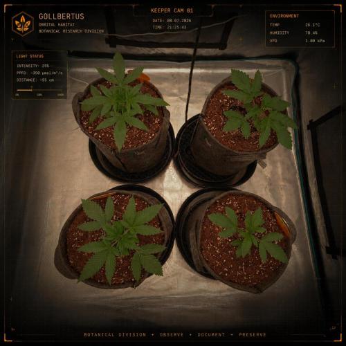 The Keepers Log. Week 3