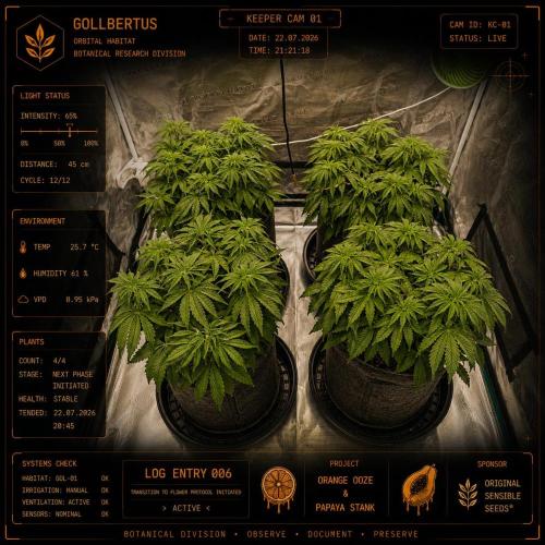 The Keepers Log. Week 5