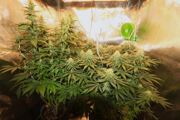 The Keepers Log. Week 9