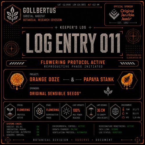The Keepers Log. Week 10