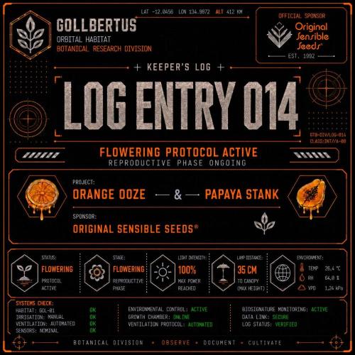 The Keepers Log. Week 12