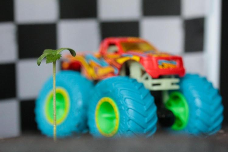 Golli Racing | #04 – GMO Cookies. Week 1