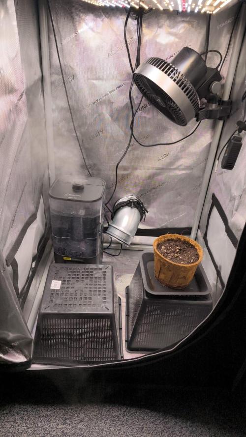 Erdskunk. Week 1 - Early veg setup