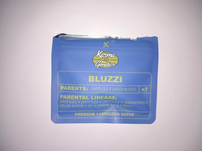 Grounded Genetics. Week 0