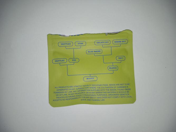 Grounded Genetics. Week 0