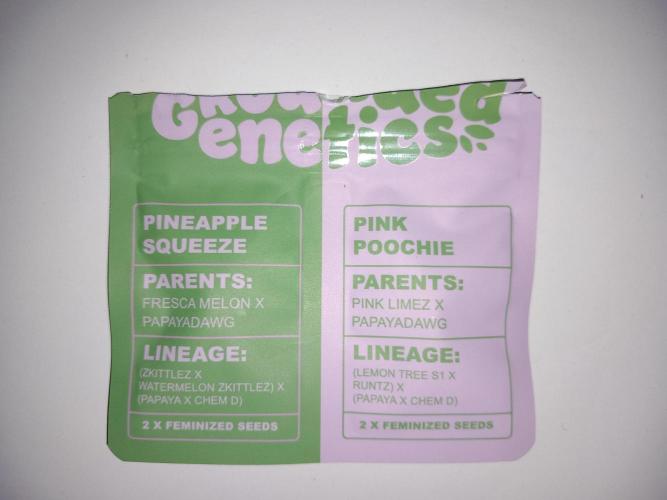 Grounded Genetics. Week 0