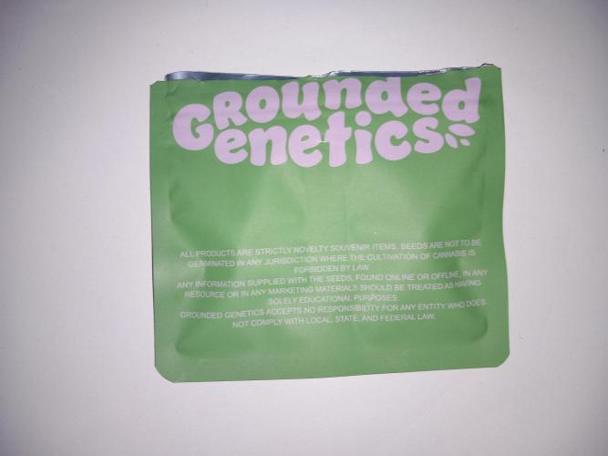 Grounded Genetics. Week 0