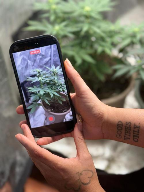 The bajan grow show. Week 6