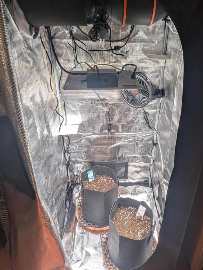 Auto Gorilla Glue#4 Indoor. Week 0 - Setup ready!