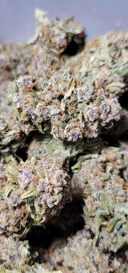 Lemon Cherry Cookies 🍋 🍒 🍪. Week 9