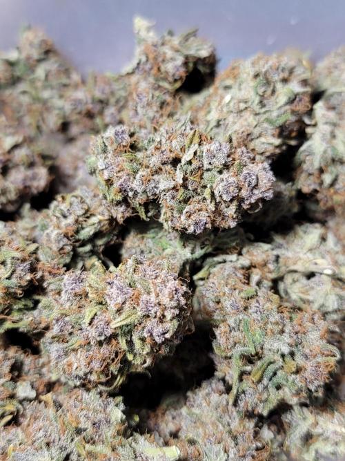 Lemon Cherry Cookies 🍋 🍒 🍪. Week 9