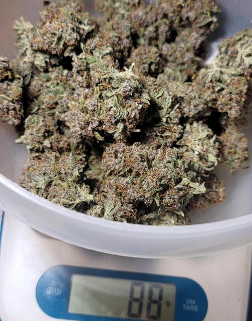 Lemon Cherry Cookies 🍋 🍒 🍪. Week 9