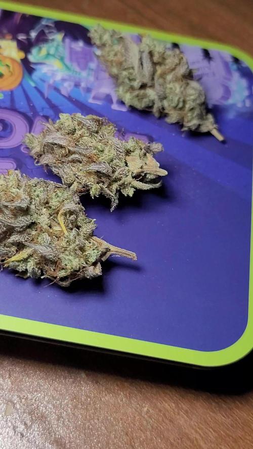Mendo Cherry Cookies πͺ π