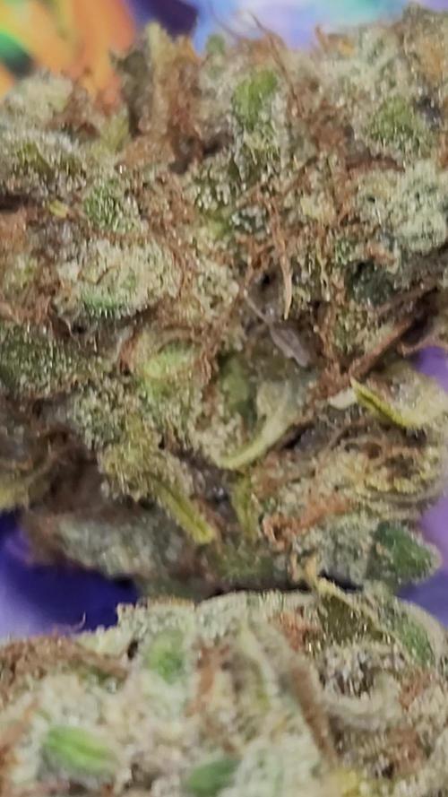Sundae 🍨 Frost ❄️