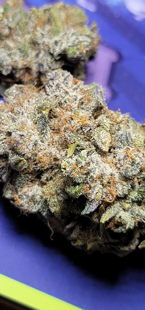 Guava Sundae 🍨 🍈. Week 8
