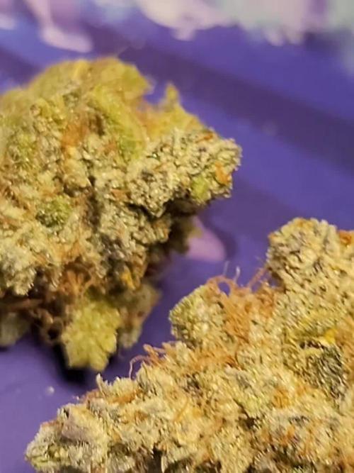 Guava Sundae 🍨 🍈
